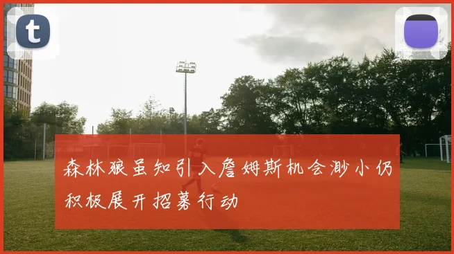 森林狼虽知引入詹姆斯机会渺小仍积极展开招募行动