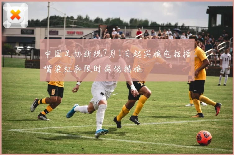 中国足协新规7月1日起实施包括捂嘴染红和限时离场措施